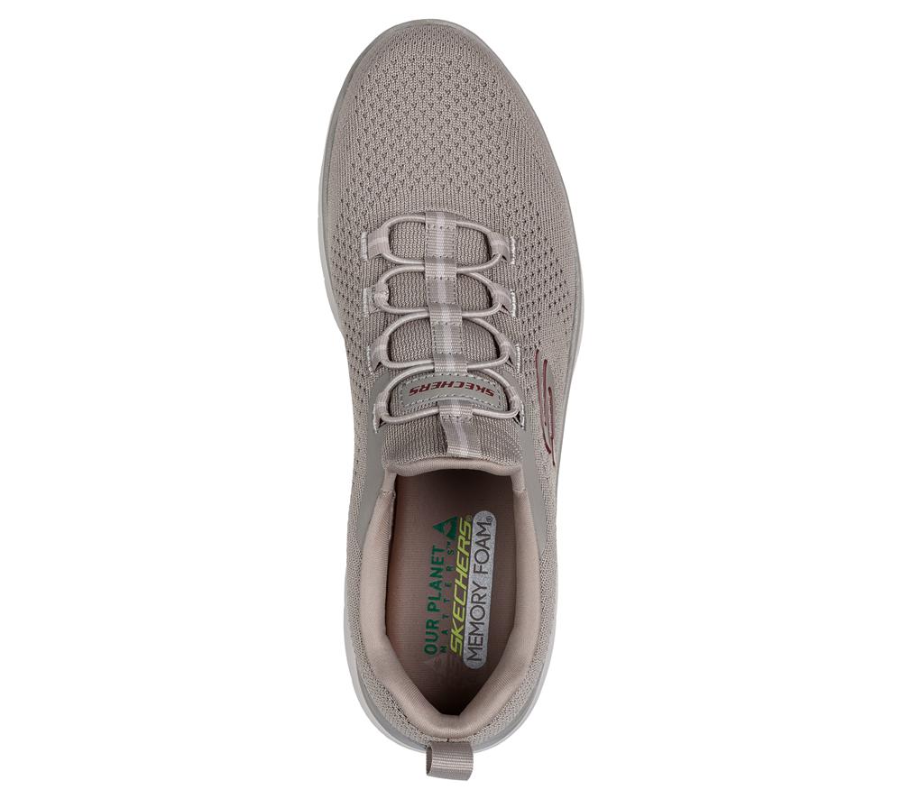 Men Skechers Summits - Tallo Sneakers Taupe Brown  USA |  4752-PQNDJ