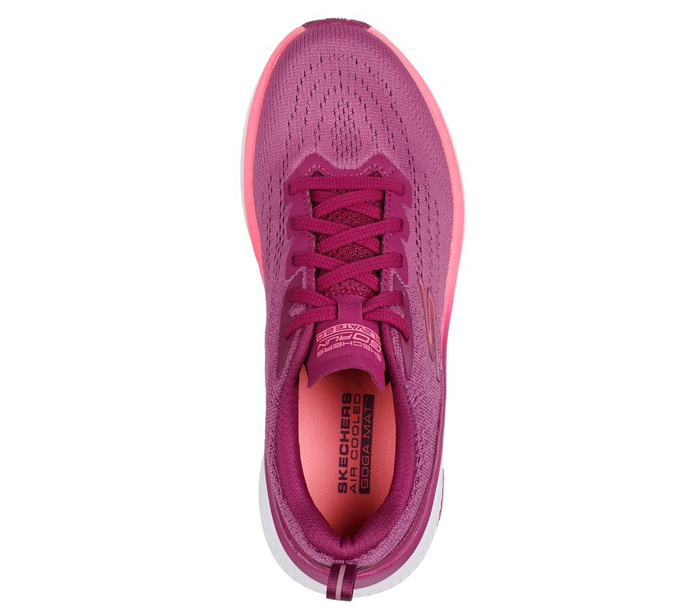 Women Skechers GO RUN Elevate 2.0 Lace Up Shoes Raspberry Purple  USA |  4132-SRPXO